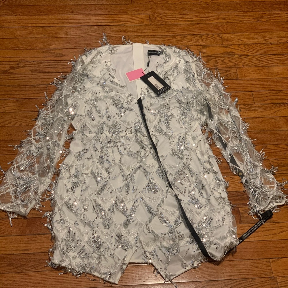 Plus Sliver Tassel Sequin Bodycon Dress- XL